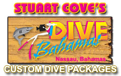 Custom Individual Dive Packages